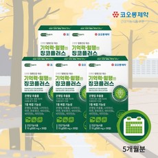 단기기억