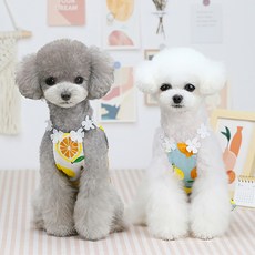 OEM 펫 원피스 과일 패턴 편안한 착용 코튼 패션 도그 스트랩 여름용, White_XS
