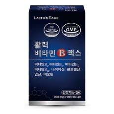 락토테미 활력 비타민b 맥스, 90정, 1개(3개월분)