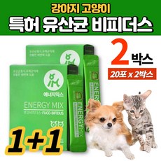 반려견 애완견 반려묘 개 강아지 고양이 100억 생유산균 유산균 리얼 비피더스 후코이단 장 면역력 건강 영양제 가루 분말 파우더, 2박스