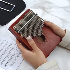 칼림바 초등학교악기, 1개
