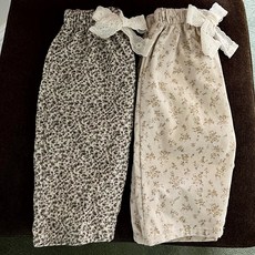 아오스타.브리에블루머