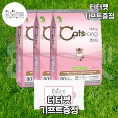 골든캣츠한국무용1개월