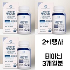마인드밸런스 스트레스 케어 테아닌 250 / 뇌영양 건강기능식품 L테아닌 불면증 관리 스트레스 케어 긴장완화 굿나잇, 3개, 60정