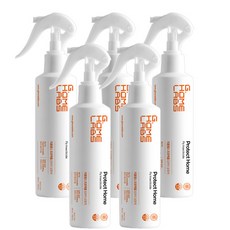 국보싸이언스 프로텍홈 파리 빈대 살충제 290ml, 5개입, 1개