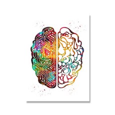 의학뇌구조그림