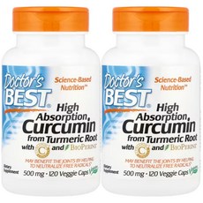닥터스베스트 고흡수 커큐민 High Absorption Curcumin 500mg 120정 2개