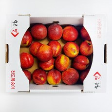 당도선별 제철 새콤달콤 천도복숭아, 1개, 1kg(로얄과)