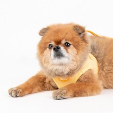 퍼피아 올치 강아지 산책 허그 하네스 목 안전 외출 가슴 줄, 옐로우, 1개