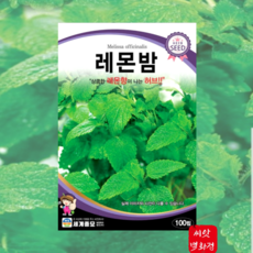 레몬밤 씨앗 레몬밤 종자 허브씨 Lemon balm 100립, 1개