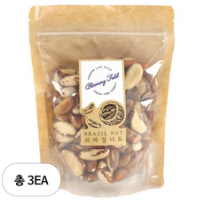 그린너트 브라질 너트, 500g, 3개