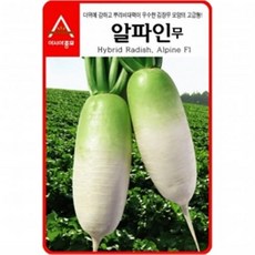 콤비네무리라플러스