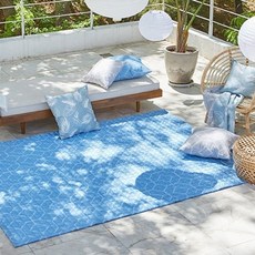 한스데코모던특대인견