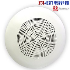 모델3스피커