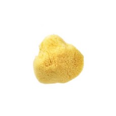 뷰티풀스킨천연해면스펀지