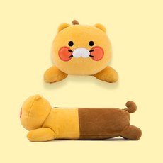 춘식이물놀이공