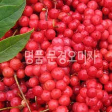 c5074a4c949fcc6daef0c5a8e5d3d475f2dafdc5475008535a6d00fa6f08.jpg