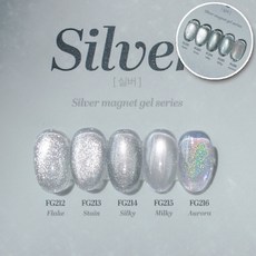 프롬더네일 실버 자석젤 5종 세트+원형자석 2종