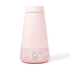 스트라텍초음파