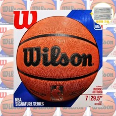 nba공인구 TOP01