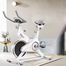 [HOTAX] 튼튼한 실내 자전거 운동 기구 홈트 사이클 싸이클 헬스 유산소 머신, 스탠다드