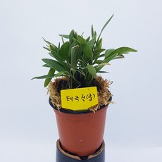 05ada2160ec0a9f8323c3dba1cd3fd44f1ec11d7773495091e73a3ab7cb7.jpg