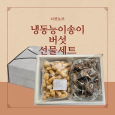 티벳농부 냉동 송이버섯 특품A 1Kg 능이버섯 특급 1Kg 고급 명절 선물세트 부직포포장, 1세트, 송이+송이