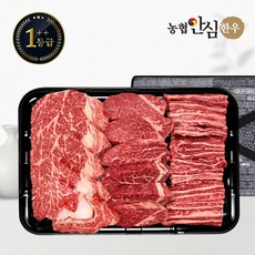 농협안심한우 [바로배송][농협안심한우] 1++등급 한우 선물세트 채반 구이5호 1kg (등/안/갈), 1개