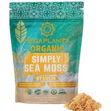 메가플랜츠 바다 이끼 스무디 음료 Sea moss 151g