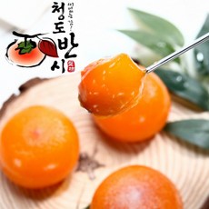 [가을 알림 과일]청도 반시 2 중과 씨없는 감 부드러운 반시 홍시 리뷰후기