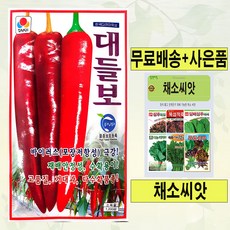 대들보고추 고추씨앗 고추종자 1200립, 1개