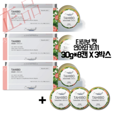 시그니처바이고양이