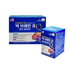 독학사인지신경심리학