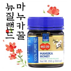 뉴질랜드마누카꿀 허니스틱 MGO 400+ 500g, 1, 1