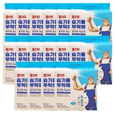 홈스타 습기를 부탁해 제습제 걸이형, 120g, 16개