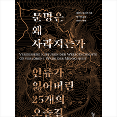 돌베개 문명은 왜 사라지는가 +미니수첩제공