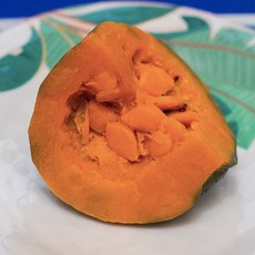 호박실리콘몰드