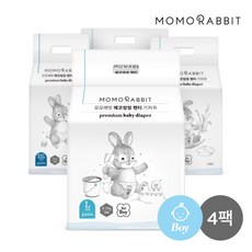모모래빗에코씽씽xl