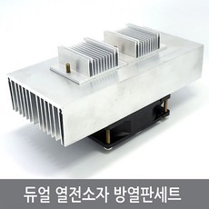12a열전소자