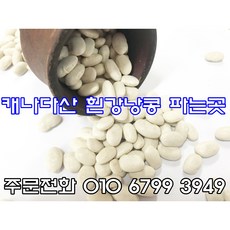 캐나다산 흰강낭콩 파는곳 흰강낭콩 효능, 5kg, 1개