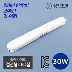 LED 성진 일자등 형광등 방등 등기구 다용도등 사무실등 스키등 조명 30W, 성진일자등30W