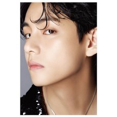 방탄 디아이콘 디페스타 포토북 & 포토카드 뷔 / BTS DICON D