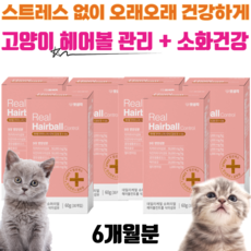 펫생각 데일리케얼 헤어볼 컨트롤 & 식이섬유 고양이 반려묘 영양제 소화 변비 장건강 피모개선 3대 소화효소, 헤어볼 영양제 6개 