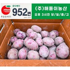 해돋이농산 국내산 자색감자 카스테라 홍감자 대 특 3kg 5kg 10kg, 1개, 대(10kg)