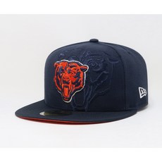 nfl모자 TOP01