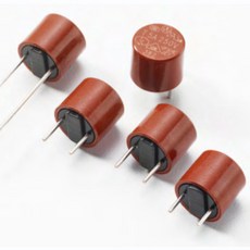 1a250v퓨즈