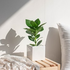1db86f2a26e5b7b596e90b91d61ba4e120e8838e868af9e1ddf066d0d3d6.jpg