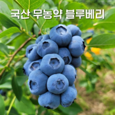 국산 냉동 무농약 블루베리 2024년 생과(크기 혼합), 1개, 2kg