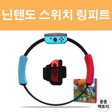 닌텐도스위치링피트