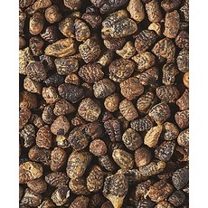 Starwest Botanicals 카르다몸 껍질을 벗겨낸 통카르다몸 1 lb, 1정, 1개, 453.8g